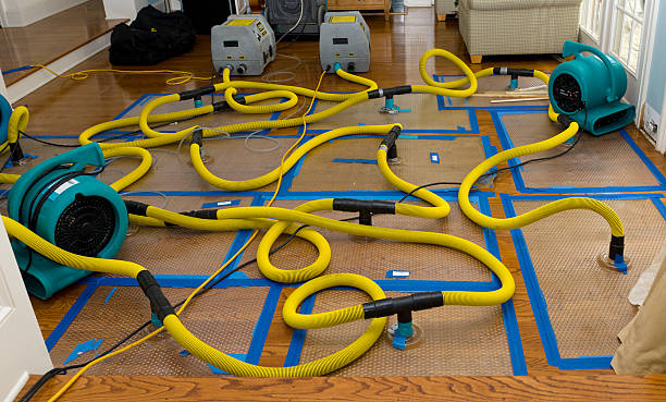 Professional Burst Pipe Water Damage technician working in Chevy Chase, MD